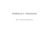 Anthony’s  Elements
