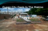 Queen City Oasis In The Making