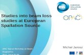 Studies into beam loss studies at European Spallation Source