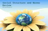 Social Structure and Norms Review