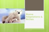 Biome Adaptations & Niches