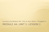 Module 4A: Unit 1: Lesson 1