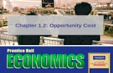 Chapter  1.2: Opportunity Cost