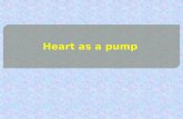 Heart as a pump