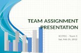 Team Assignment Presentation