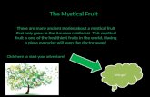 The Mystical Fruit