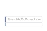 Chapter 8.2:  The Nervous System