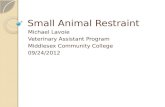 Small Animal Restraint