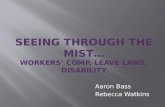 SEEING THROUGH THE MIST… workers’ comp, leave laws, disability