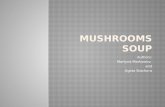 Mushrooms  soup