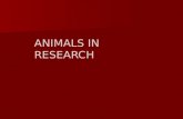 ANIMALS IN RESEARCH