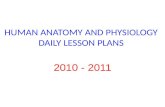 HUMAN ANATOMY AND PHYSIOLOGY DAILY LESSON PLANS