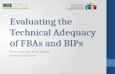 Evaluating the Technical Adequacy of FBAs and BIPs