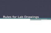 Rules for Lab Drawings