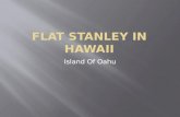Flat Stanley In Hawaii