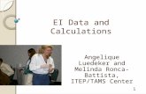 EI Data and Calculations