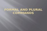 Formal and Plural Commands