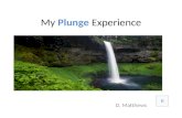 My  Plunge Experience