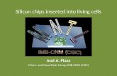 José A. Plaza Micro- and  NanoTools Group  IMB-CNM (CSIC)