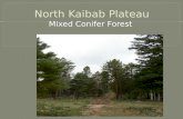 North Kaibab Plateau