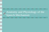 Anatomy and Physiology of the Speech Mechanism