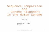 Sequence Comparison and  Genome Alignment in the Human Genome