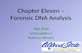 Chapter Eleven – Forensic DNA Analysis