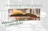 Moonshine Public Library