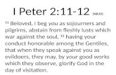 I Peter 2:11- 12 (NKJV)