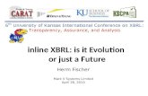 i nline XBRL: is it  Evolution  or just a  F uture