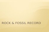 Rock & Fossil Record