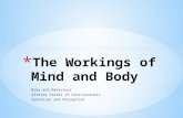 The Workings of Mind and Body