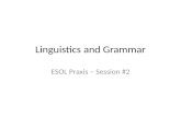 Linguistics and Grammar