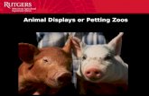 Animal Displays or Petting Zoos