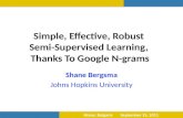 Simple, Effective, Robust  Semi-Supervised Learning,  Thanks To Google N-grams