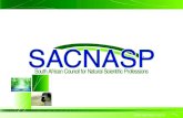 Registration with the South African Council for Natural Scientific Professions