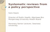 Systematic reviews from a policy  perspective