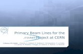 Primary Beam Lines for the   Project at CERN