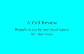 A Cell Review