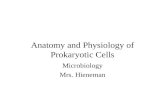 Anatomy and Physiology of Prokaryotic Cells