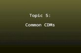 Topic 5: Common CDMs