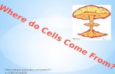 Wher e do Cells Come From?