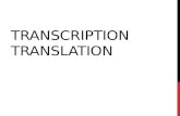Transcription Translation