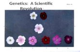 Genetics:  A Scientific Revolution