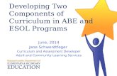 Developing Two Components of Curriculum in ABE and ESOL Programs