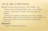 Ch 9, Sec 2 Bacteria