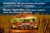 Quaestio : Was the Neolithic Revolution a positive change for  humanity?