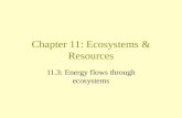 Chapter  11: Ecosystems & Resources