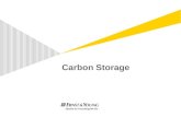 Carbon Storage