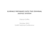 Juvenile Pathways into the Criminal  Justice  System